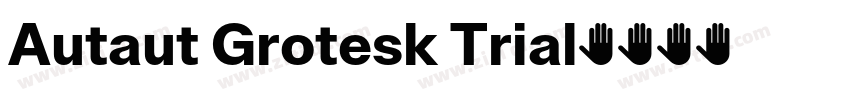 Autaut Grotesk Trial字体转换